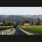 Osborn Vineyards on 128