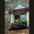 Window box - Rothenburg ob der Taube