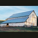Roche white barn by Ernies's Tin Shack