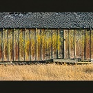 Hen house number one
