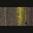 4x5_Hinge_on_faded_red_detail_GP2x_(c)_2009_Duncan_Dwelle