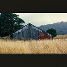 Peterson barn in Summer