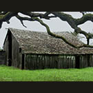 Peterson Barn in Winter