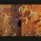 Lichen stretch sunset shadows