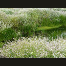 Yet another bloomin' ditch