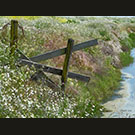 Fence & flowers