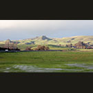Welcome to Sonoma