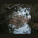 Little Butte Creek