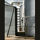 Richvale rice