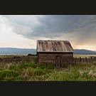 Shed in the wilds