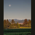Hafner Vineyards
