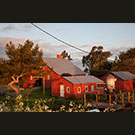 Dickson Brothers Ranch tour on the ground