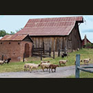 Sonewhere off Hwy 49