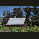 Biddle Ranch barn