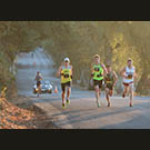 First arrivals up the hill