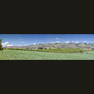 Edna Valley view