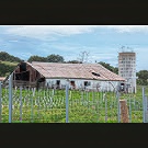El Rancho de la Siesta