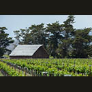 Biddle Ranch barn