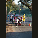 Overtaken by the mob