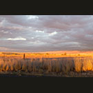 Palouse sunset