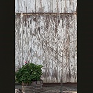 Big barn detail