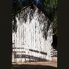 Shadowed shed