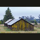 Penngrove hen houses