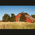 Dickson Brothers Ranch
