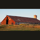 Petaluma River Ranch leaning silo