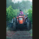 Not much bigger than a garden cart