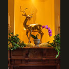 Bergold golden stag