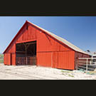 Ardently red in San Ardo