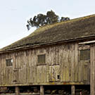 Carmody Lane chicken house