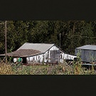 Los Osos white shed