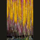 Red wall with reeds