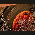Rose wheel at dusk