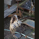 Not knotted chicken