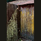 Poppy Cotage shed