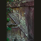 Poppy Cottage shed door