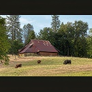Barn in Murphys