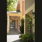 Shady walk