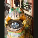 Murphys' frog