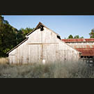 Old barn on Novato Blvd