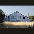 Nicasio Cheese Factory with summer grass