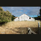 Nicasio Cheese Factory seedy side