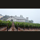 Now the Spear Winery