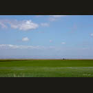 Rice horizon
