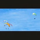 Applegate paragliding 2019