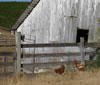 DSC00119_3