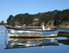 DSC00265_1